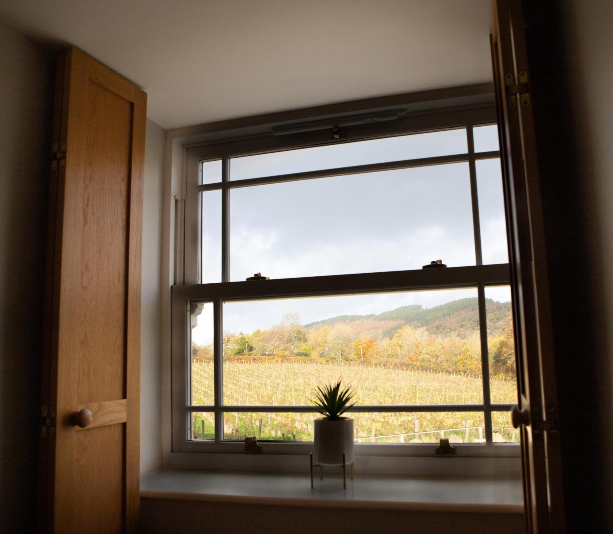 Vineyard Country Cottage Llanerch-Aeron ภายนอก รูปภาพ